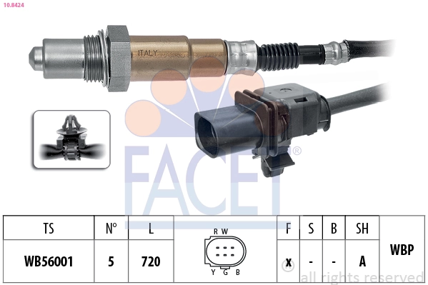 Oxygen Sensor