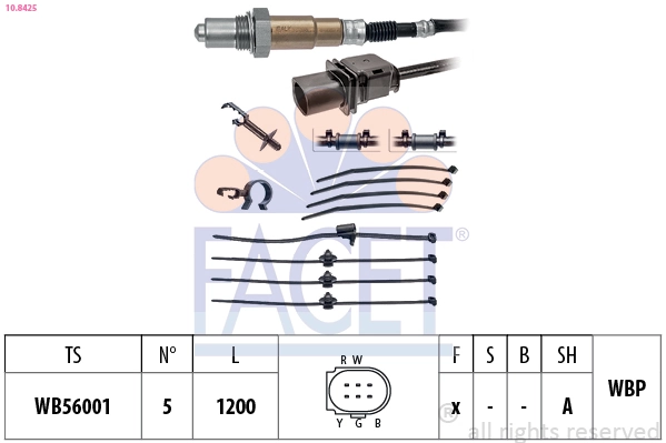 Oxygen Sensor
