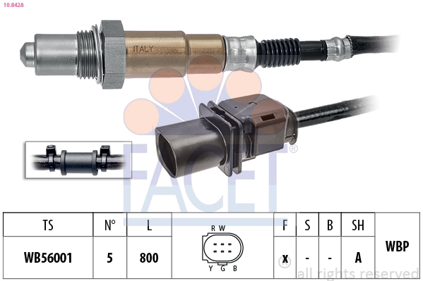 Oxygen Sensor