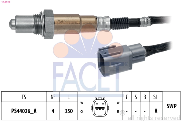 Oxygen Sensor