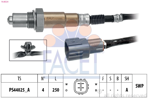 Oxygen Sensor