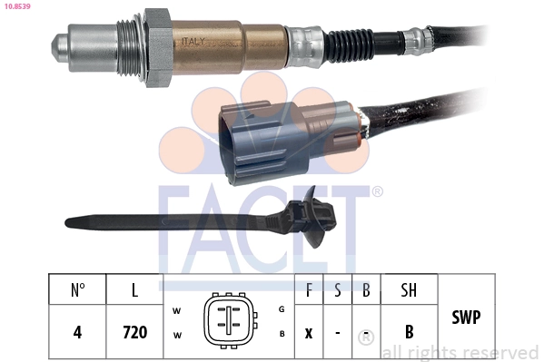 Oxygen Sensor