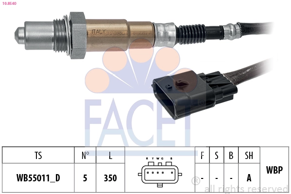 Oxygen Sensor