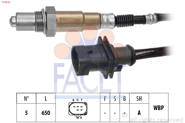 Oxygen Sensor
