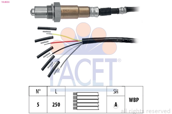 Oxygen Sensor