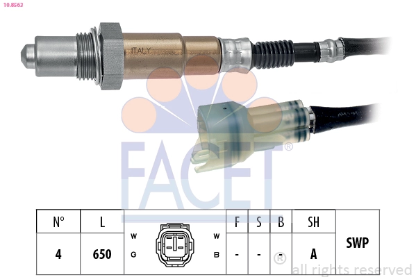 Oxygen Sensor