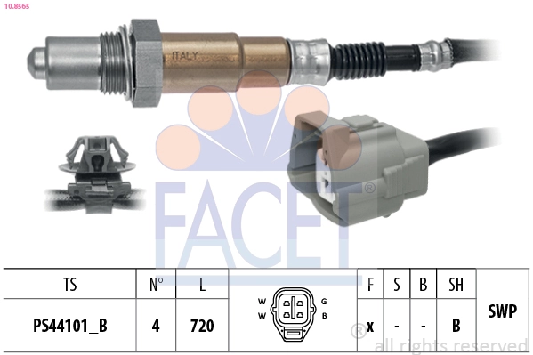 Oxygen Sensor
