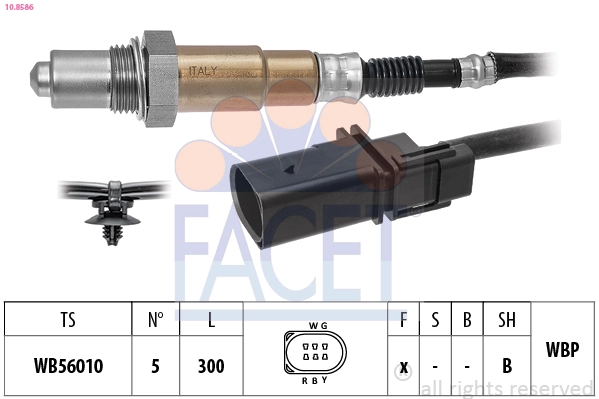 Oxygen Sensor