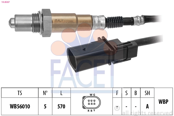 Oxygen Sensor