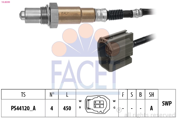 Oxygen Sensor