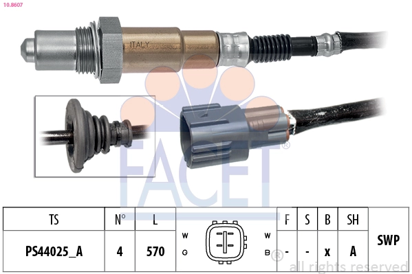 Oxygen Sensor