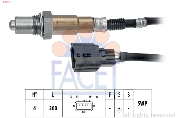 Oxygen Sensor
