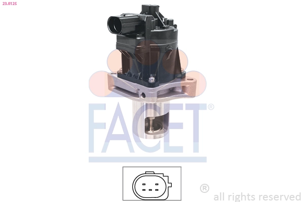 EGR Valve