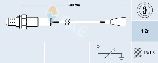Oxygen Sensor