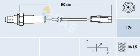 Oxygen Sensor
