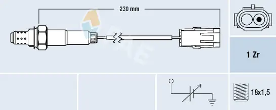 Oxygen Sensor