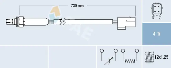 Oxygen Sensor