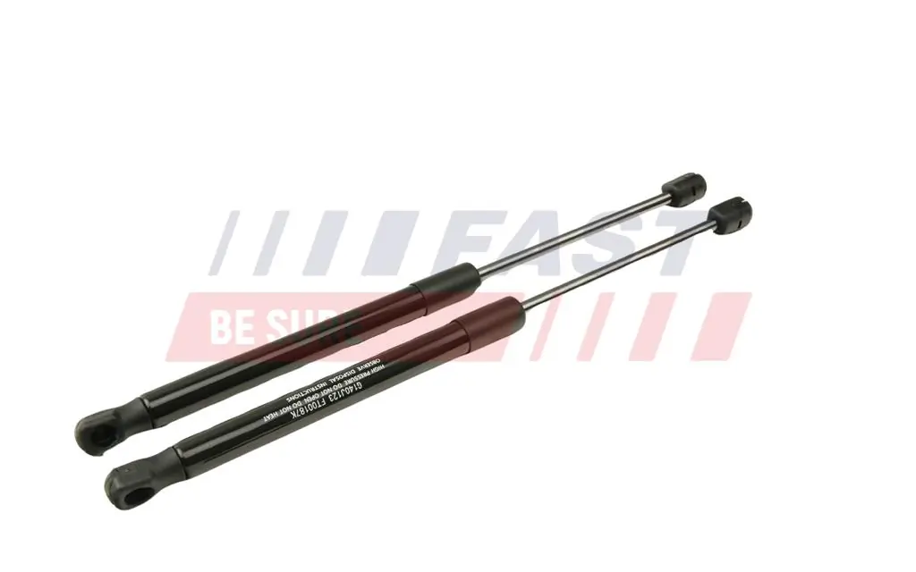 Gas Spring, boot/cargo area