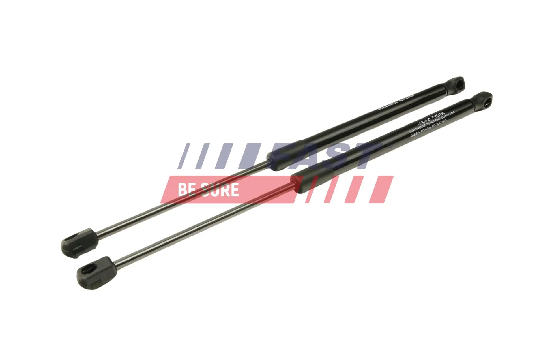 Gas Spring, boot/cargo area