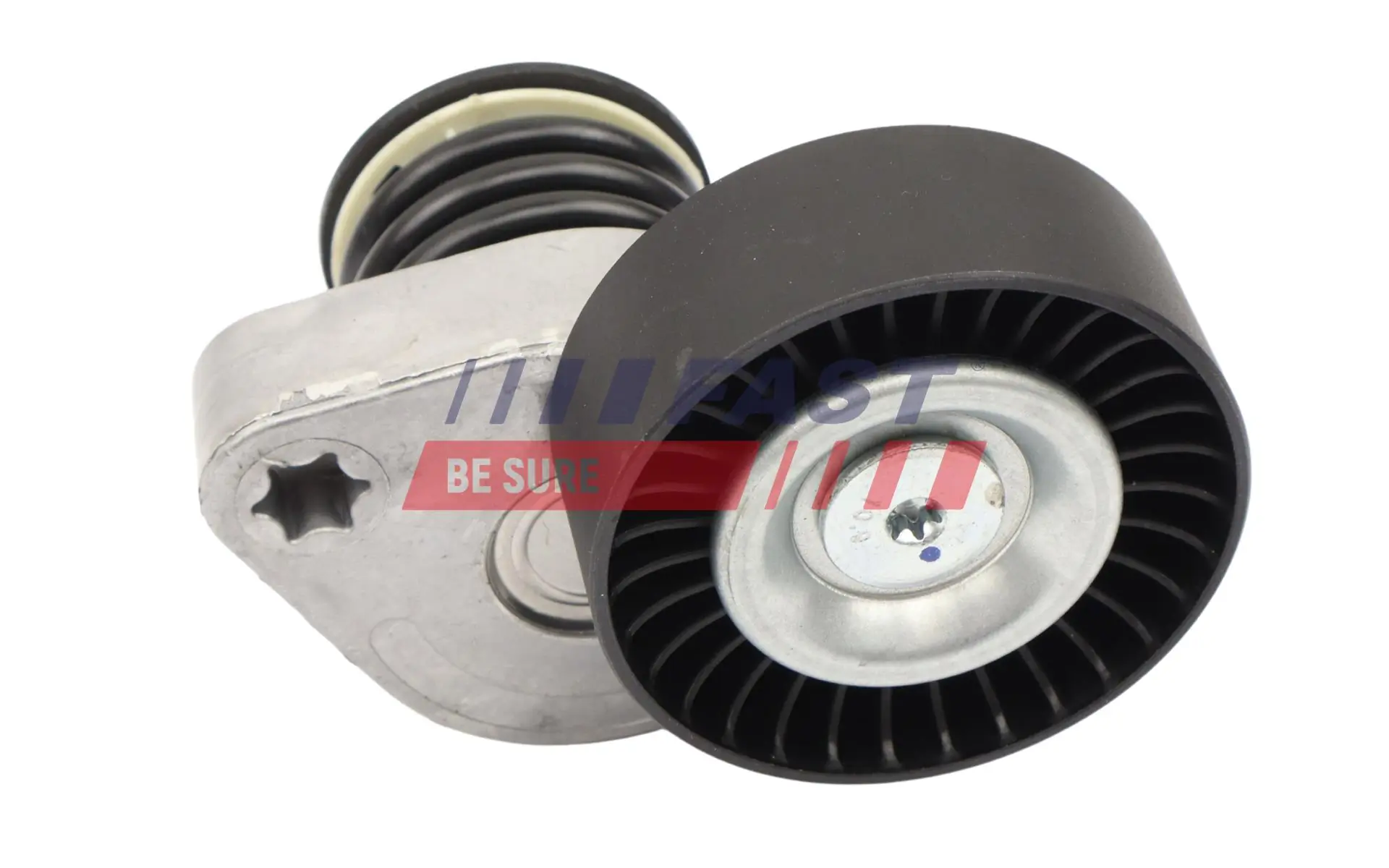 Tensioner Pulley, V-belt