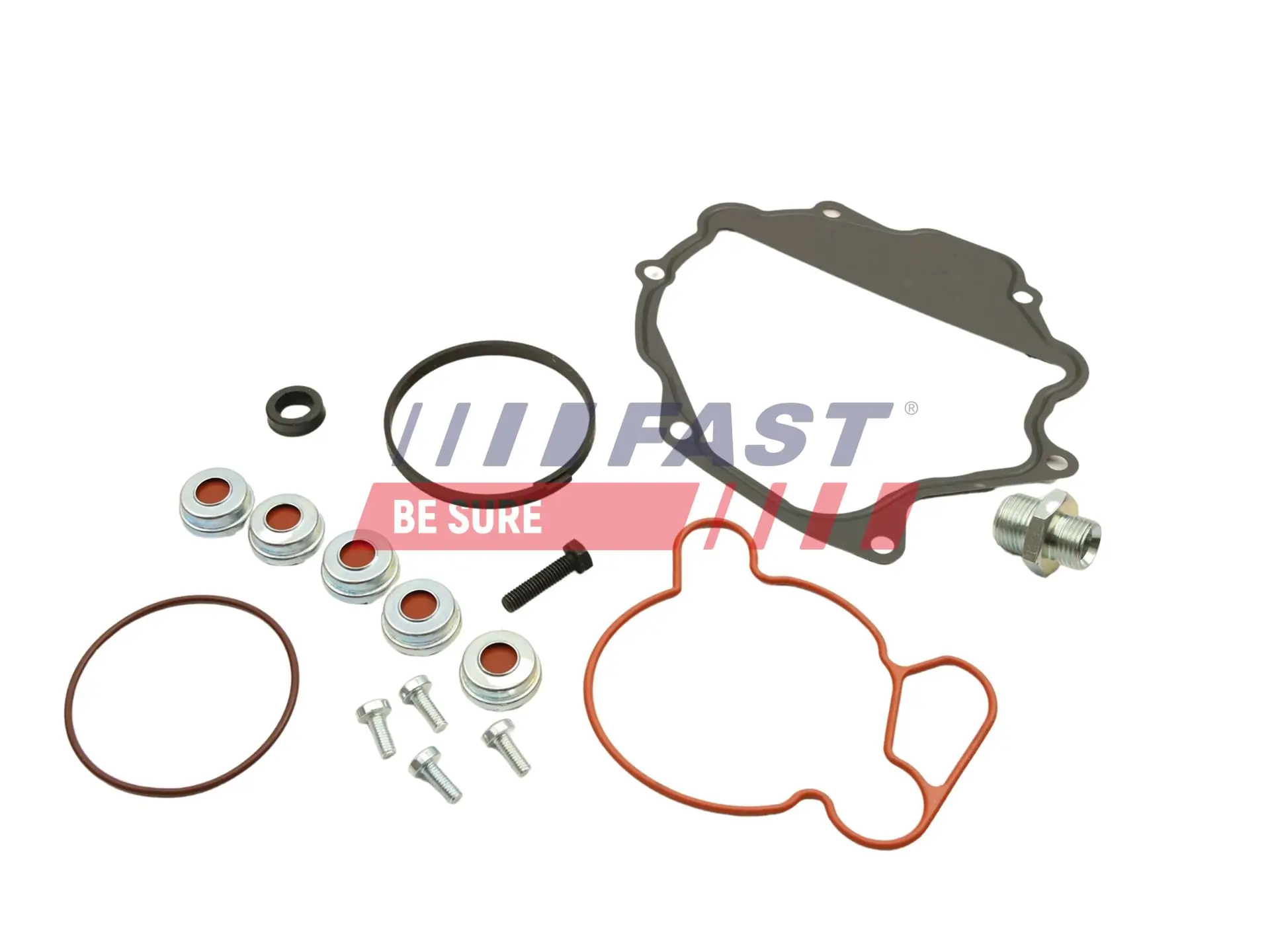 Repair Set, vacuum pump (braking system)