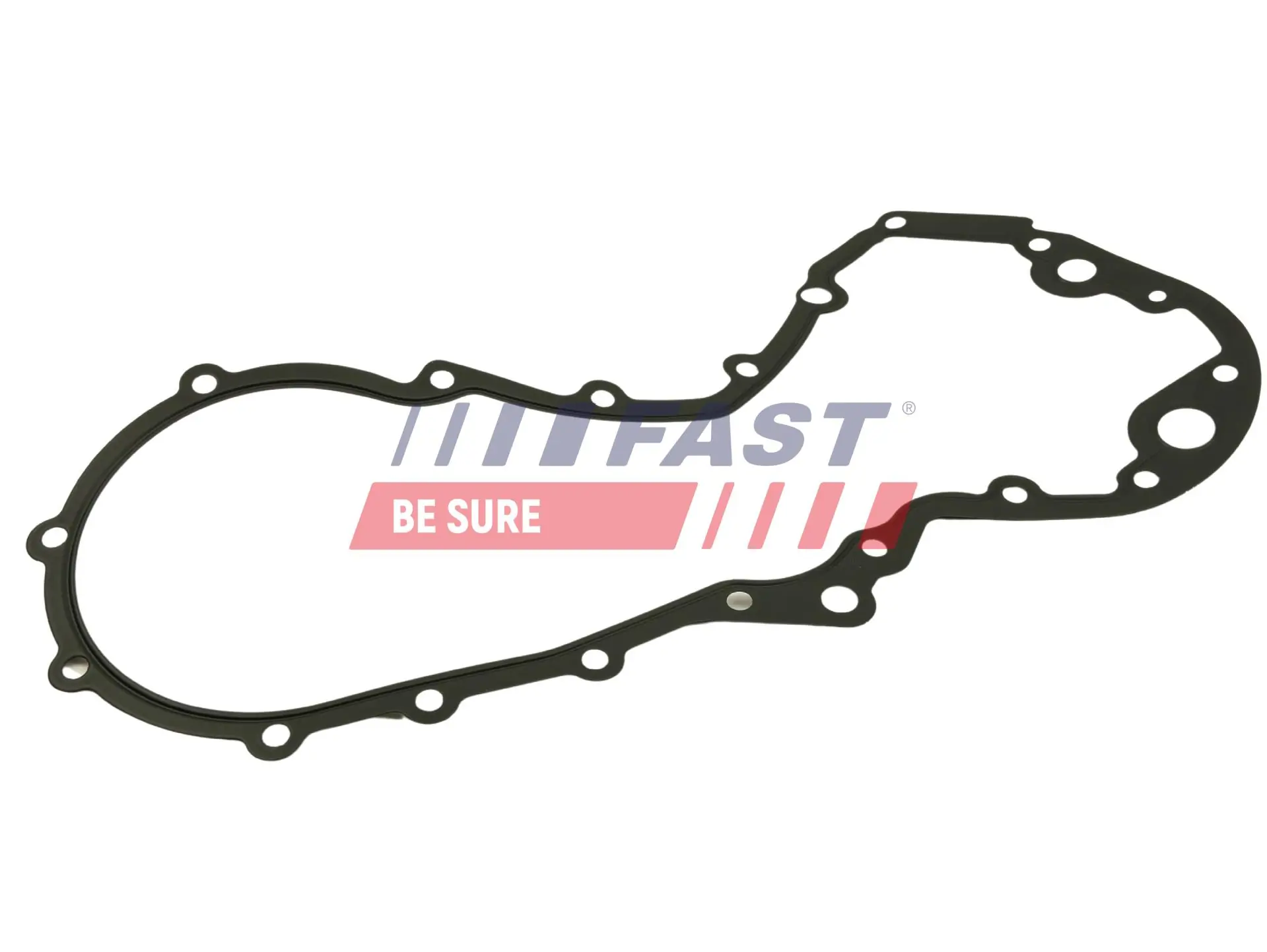 Gasket, timing case cover