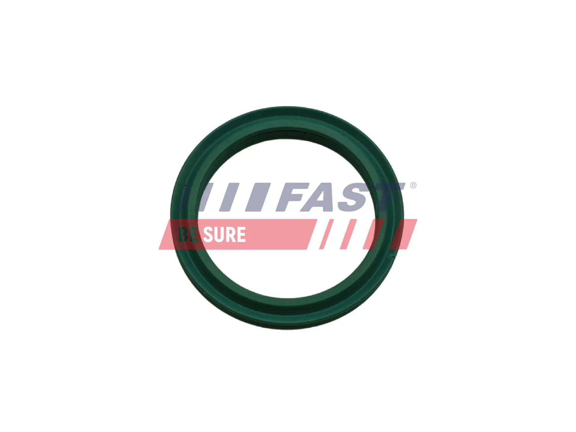 Seal Ring, charge air hose