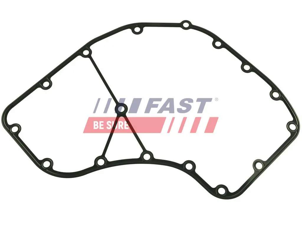 Gasket, timing case