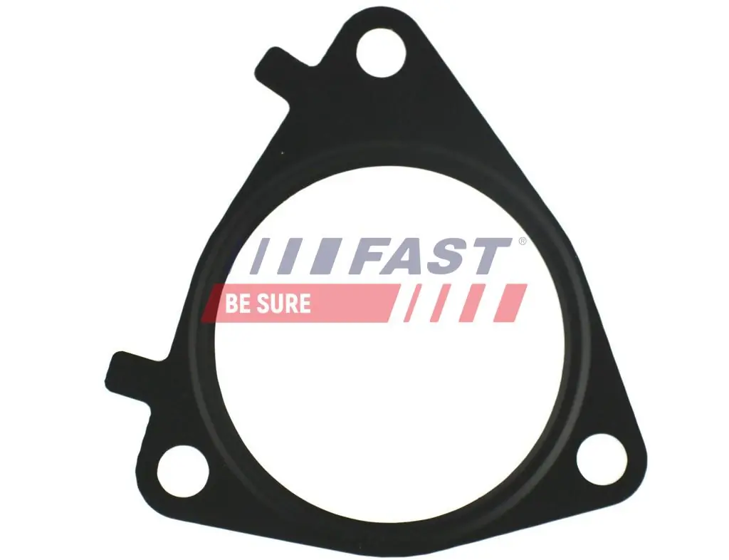 Gasket, EGR valve