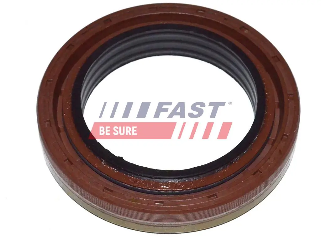 Fuel Drain Plug