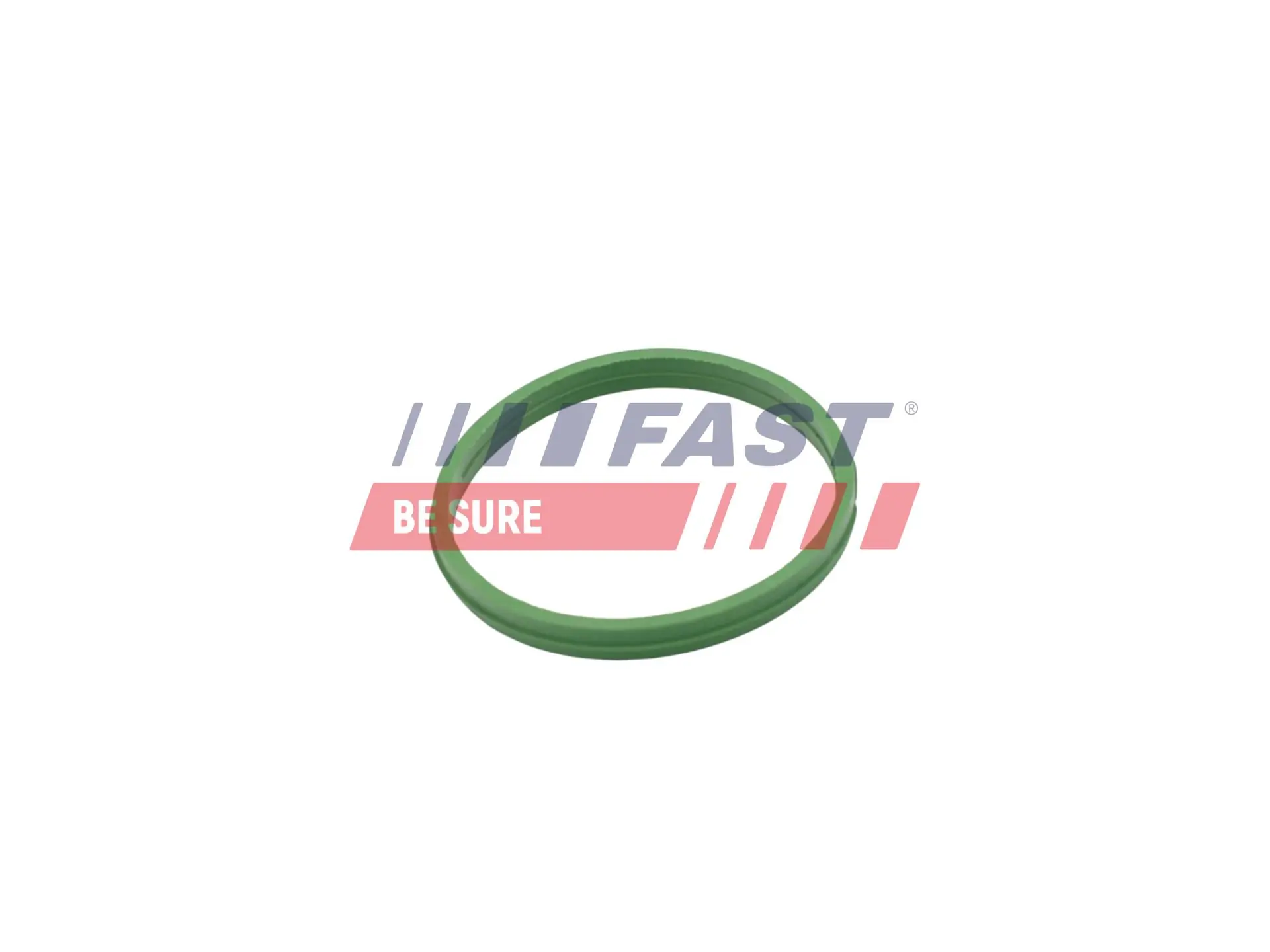 Seal Ring, charge air hose