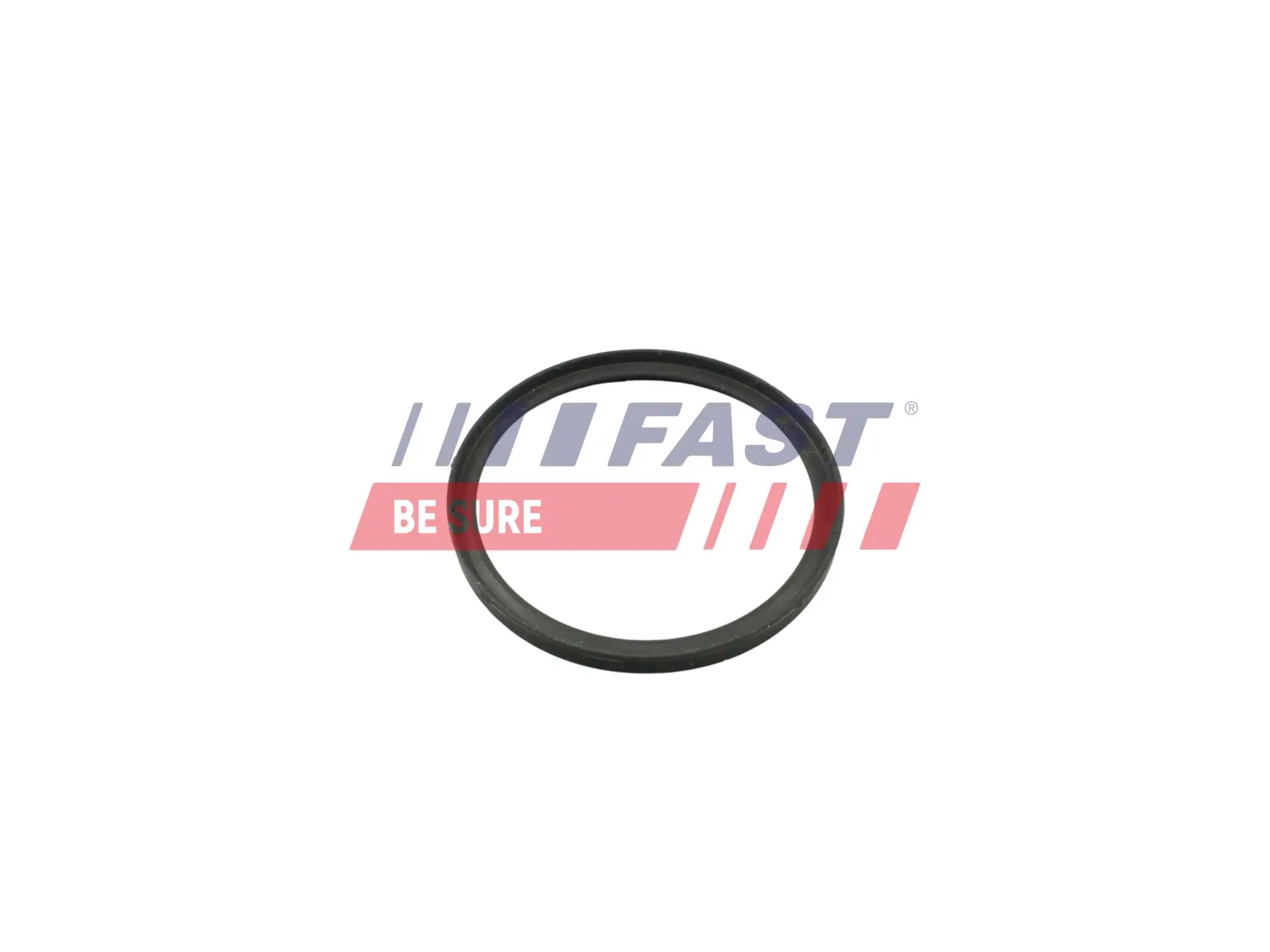 Seal Ring, charge air hose