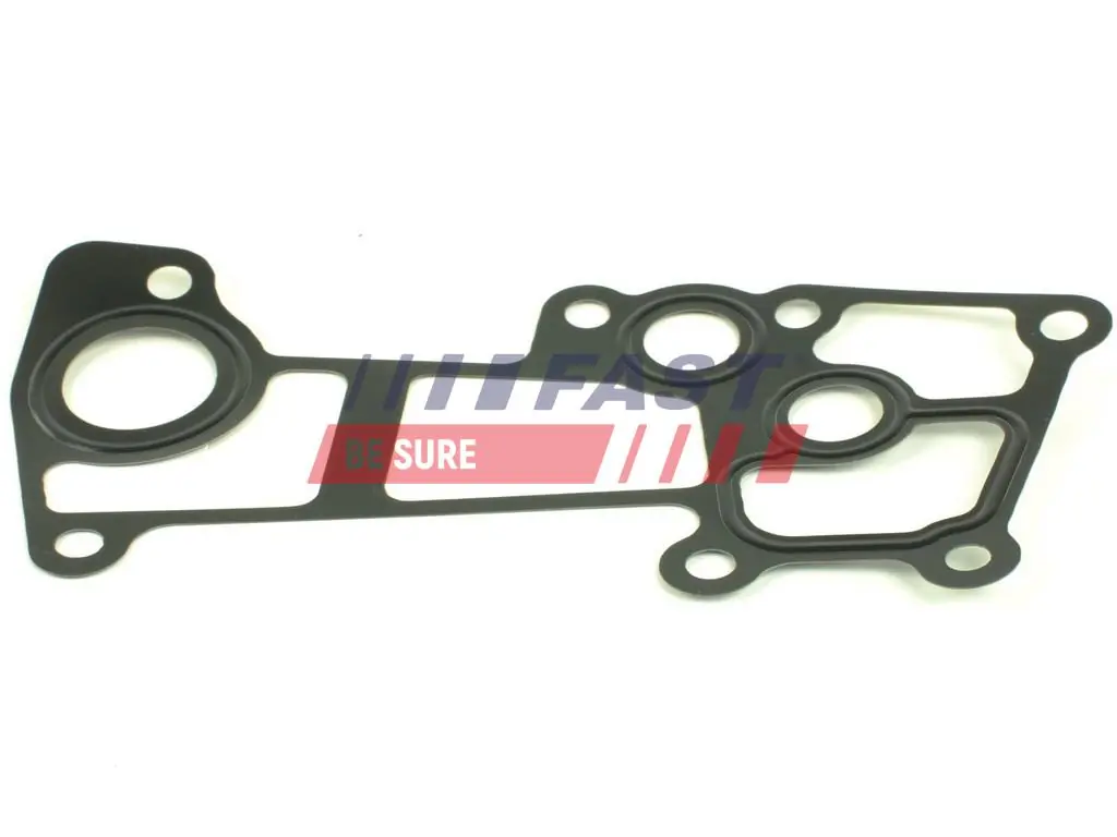 Gasket, coolant flange