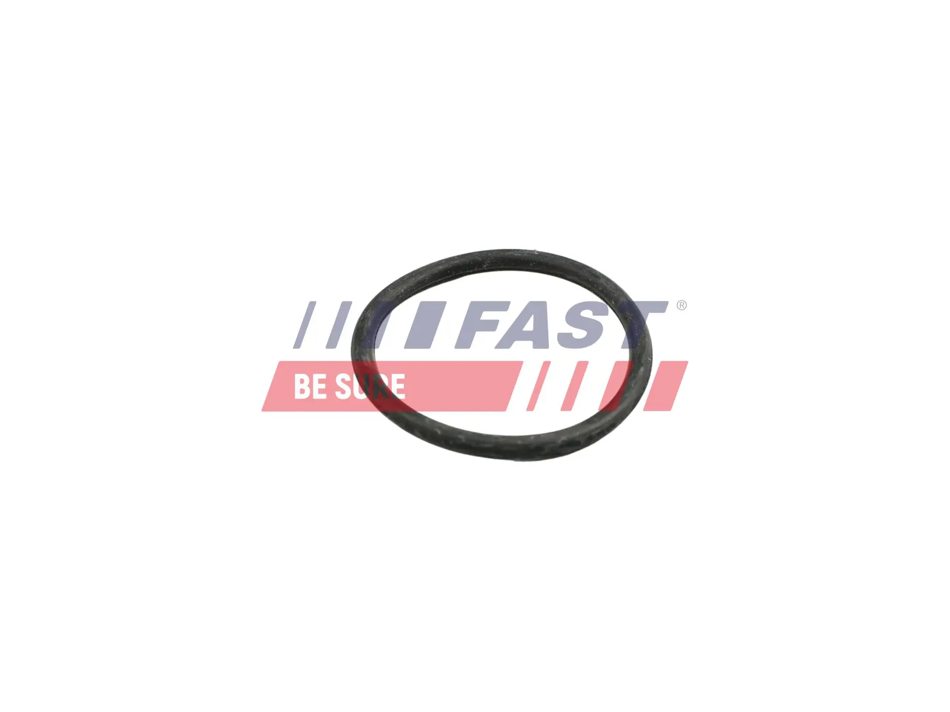 Seal Ring, coolant pipe
