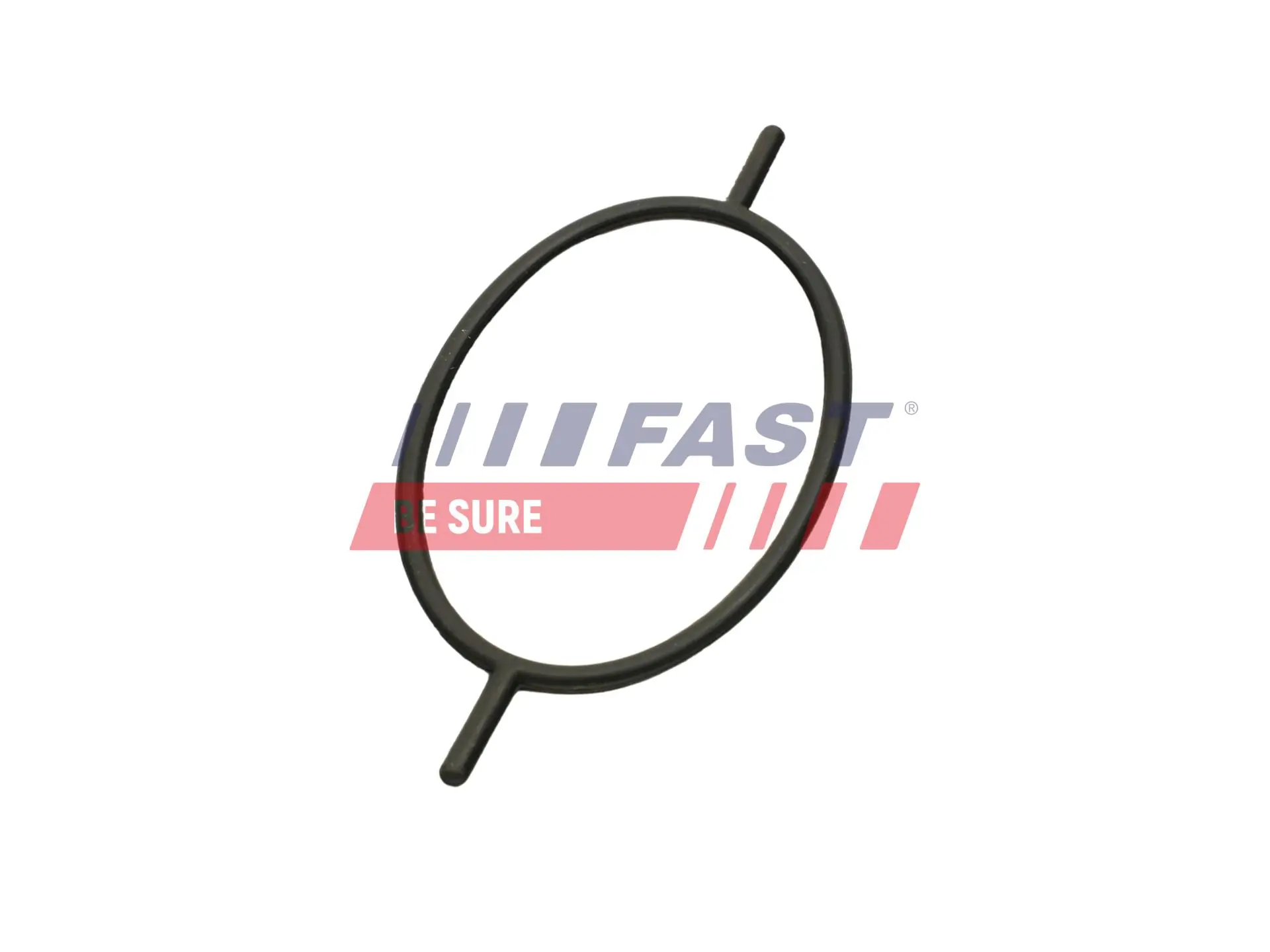 Seal Ring, radiator cap bolt