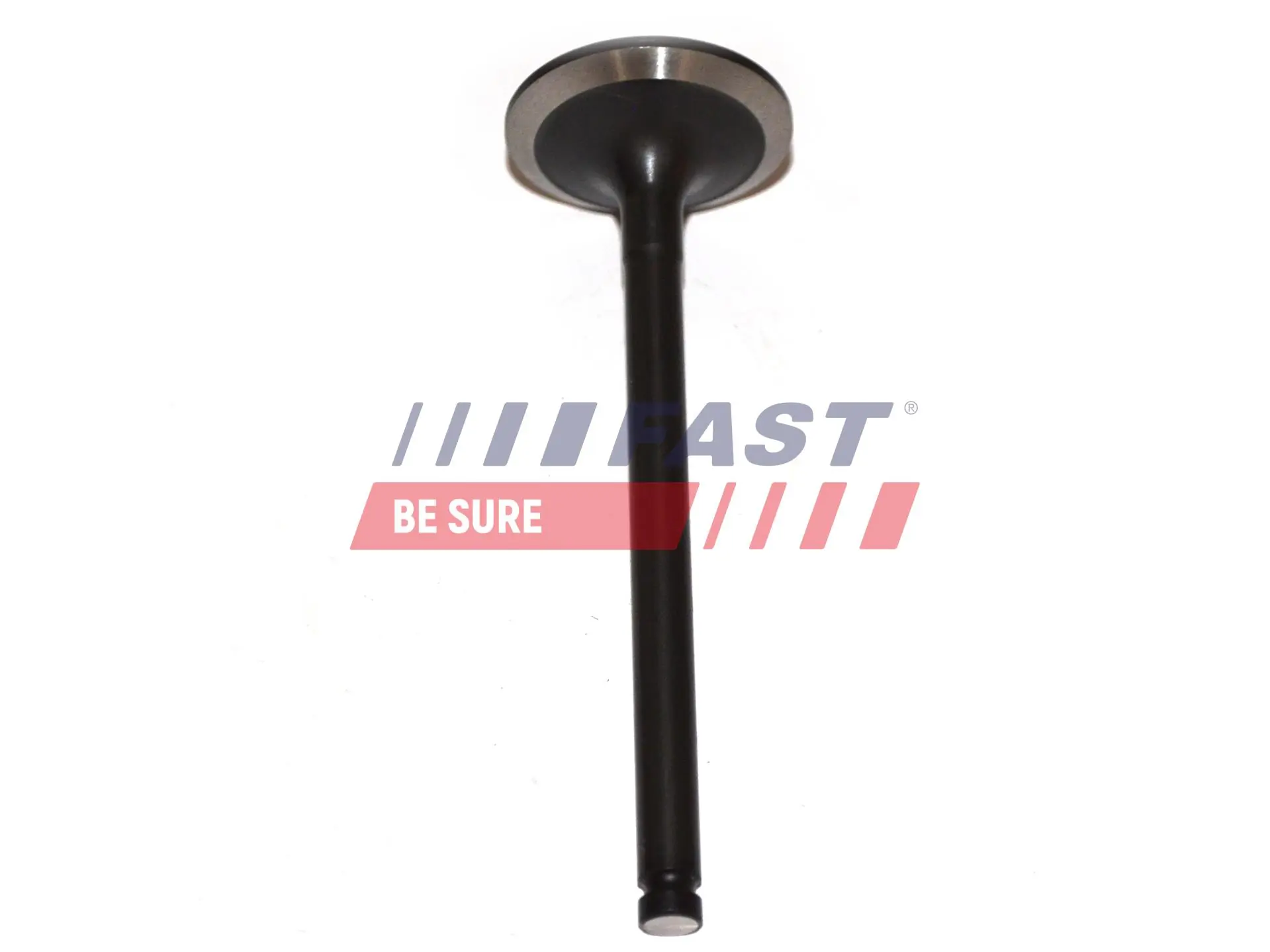 Intake Valve
