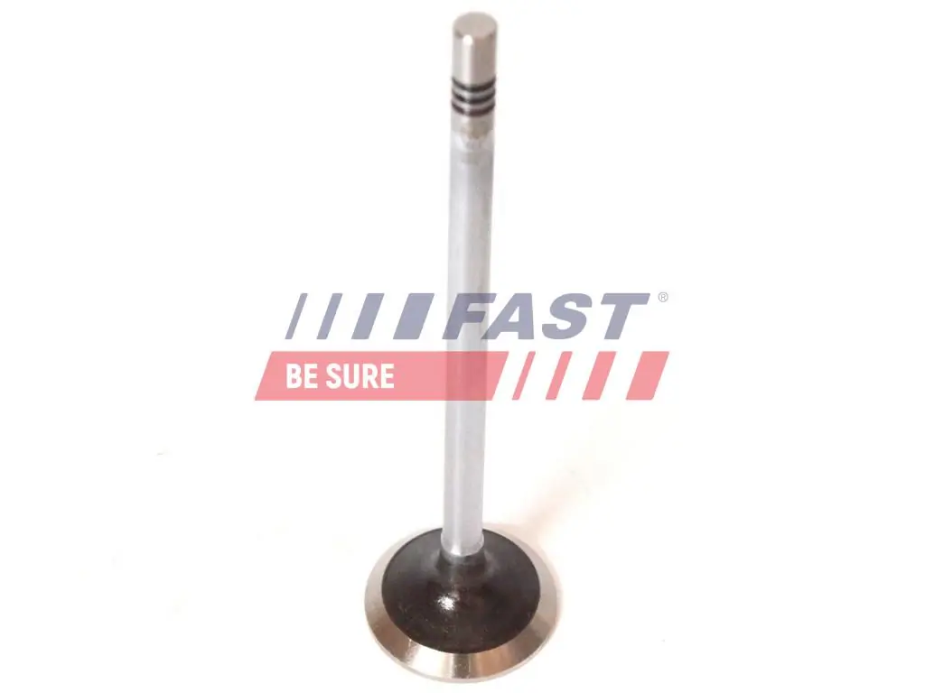 Exhaust Valve