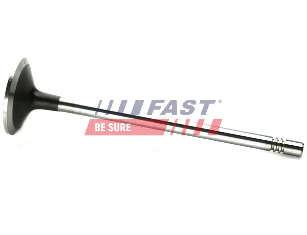 Intake Valve