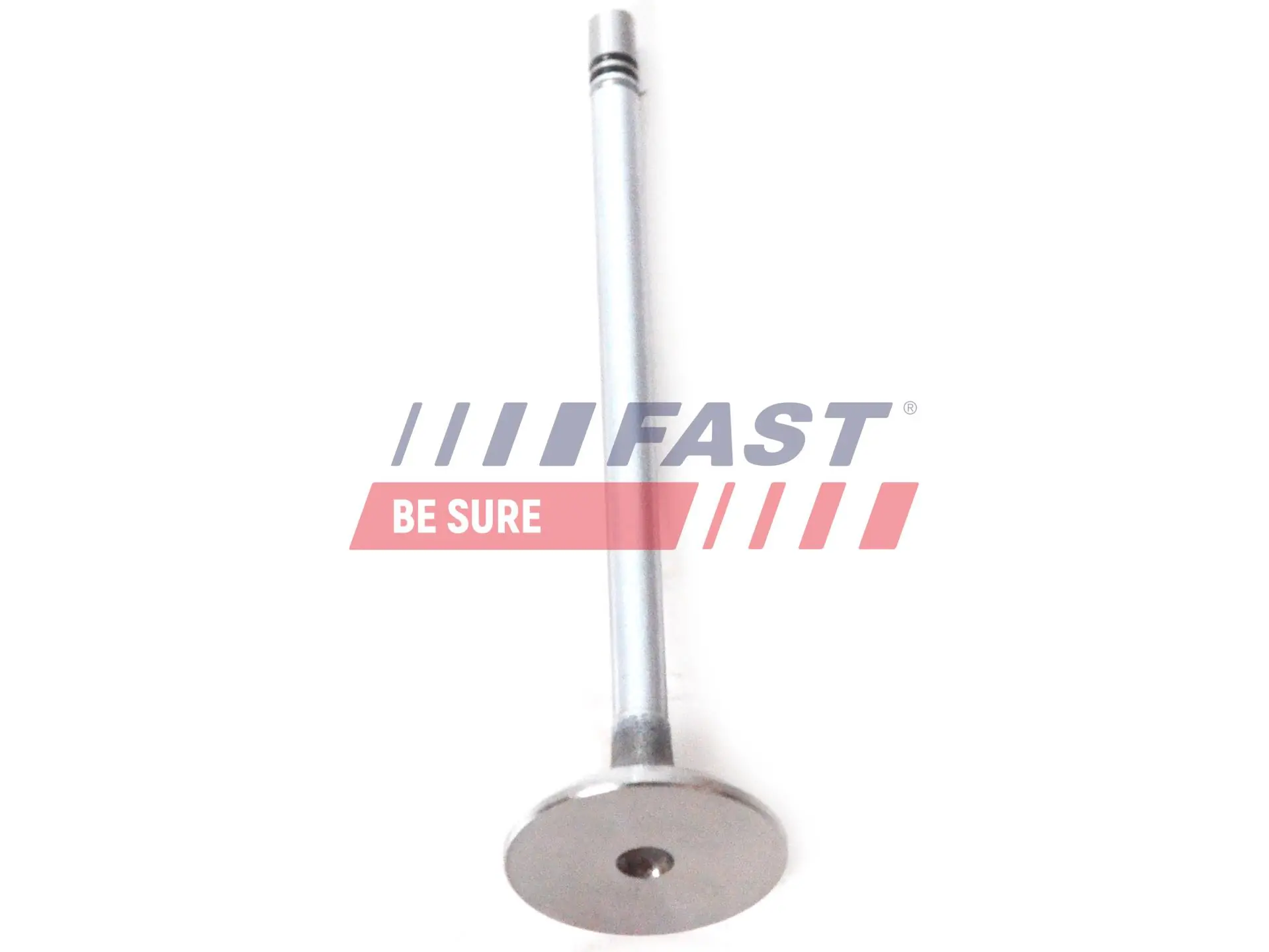 Intake Valve