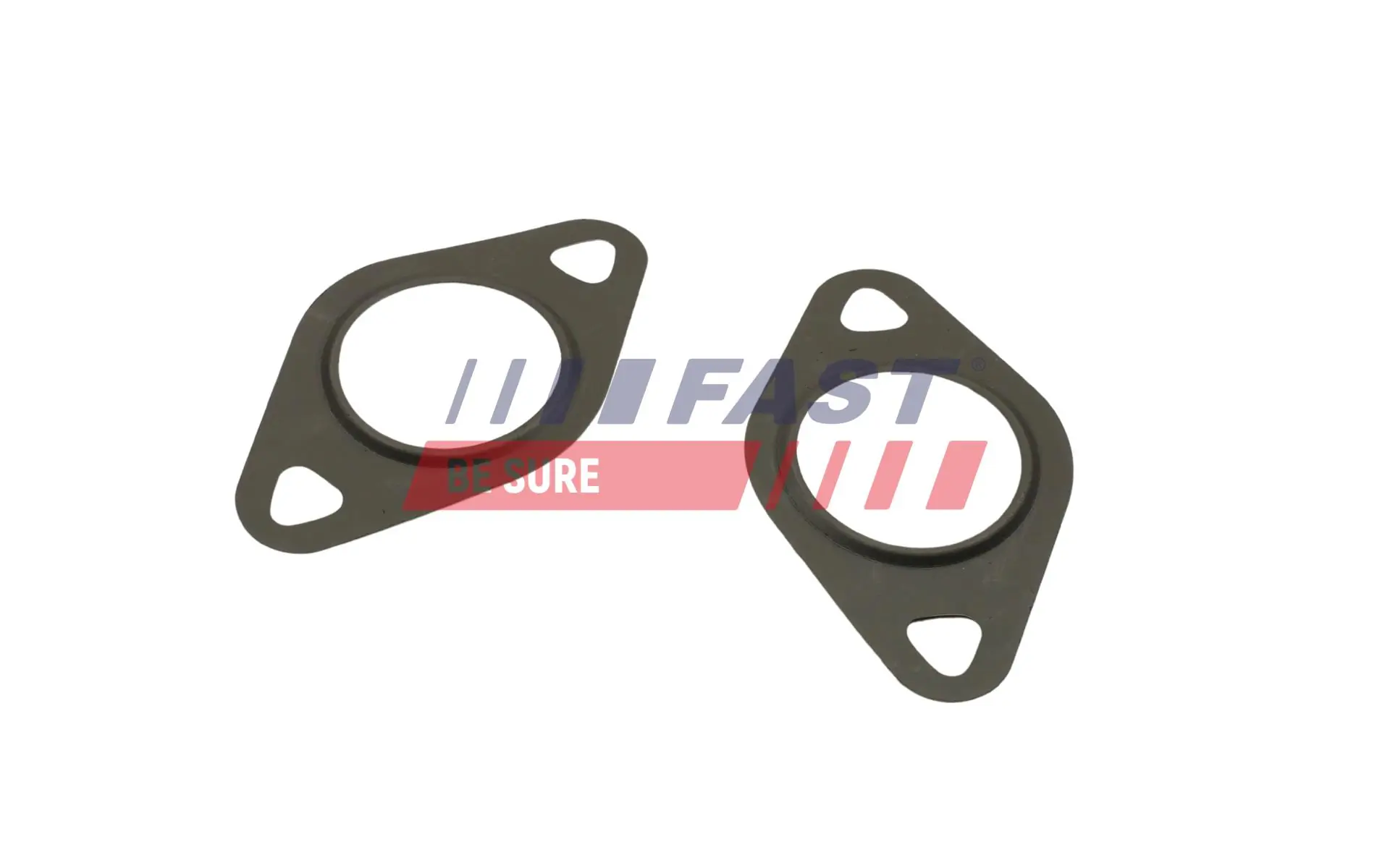 Gasket, EGR valve