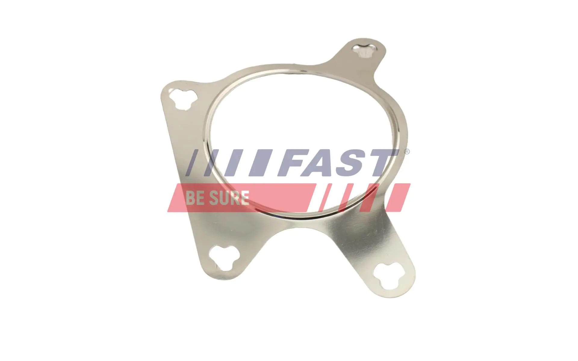 Gasket, EGR valve