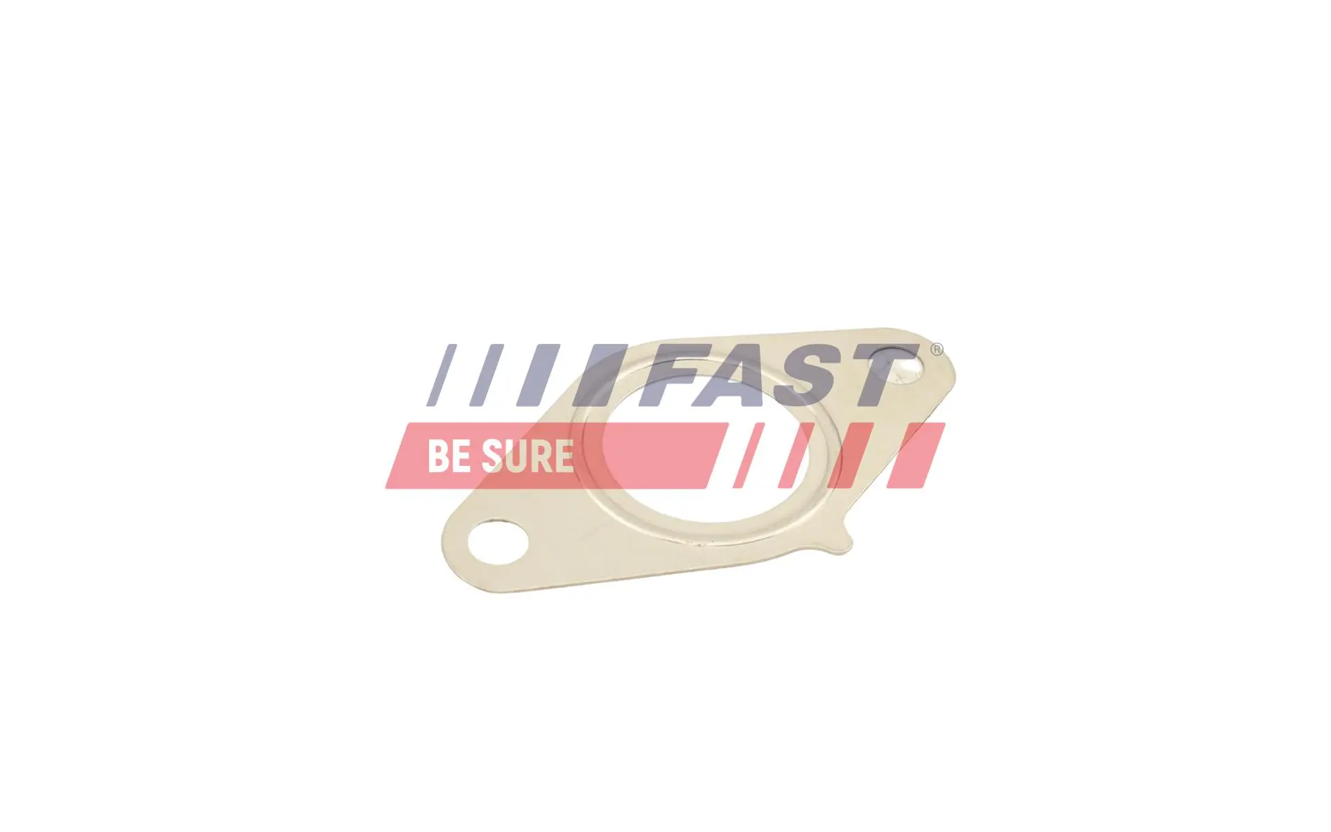 Gasket, EGR valve