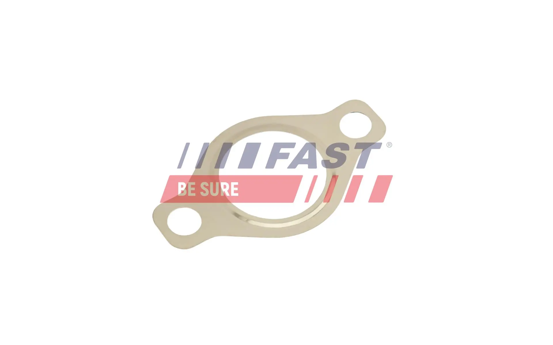 Gasket, EGR valve