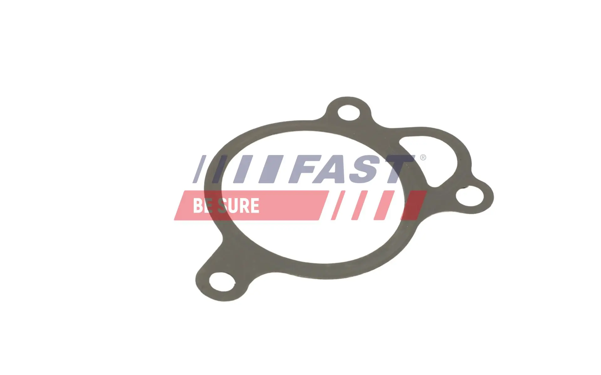 Gasket, EGR valve