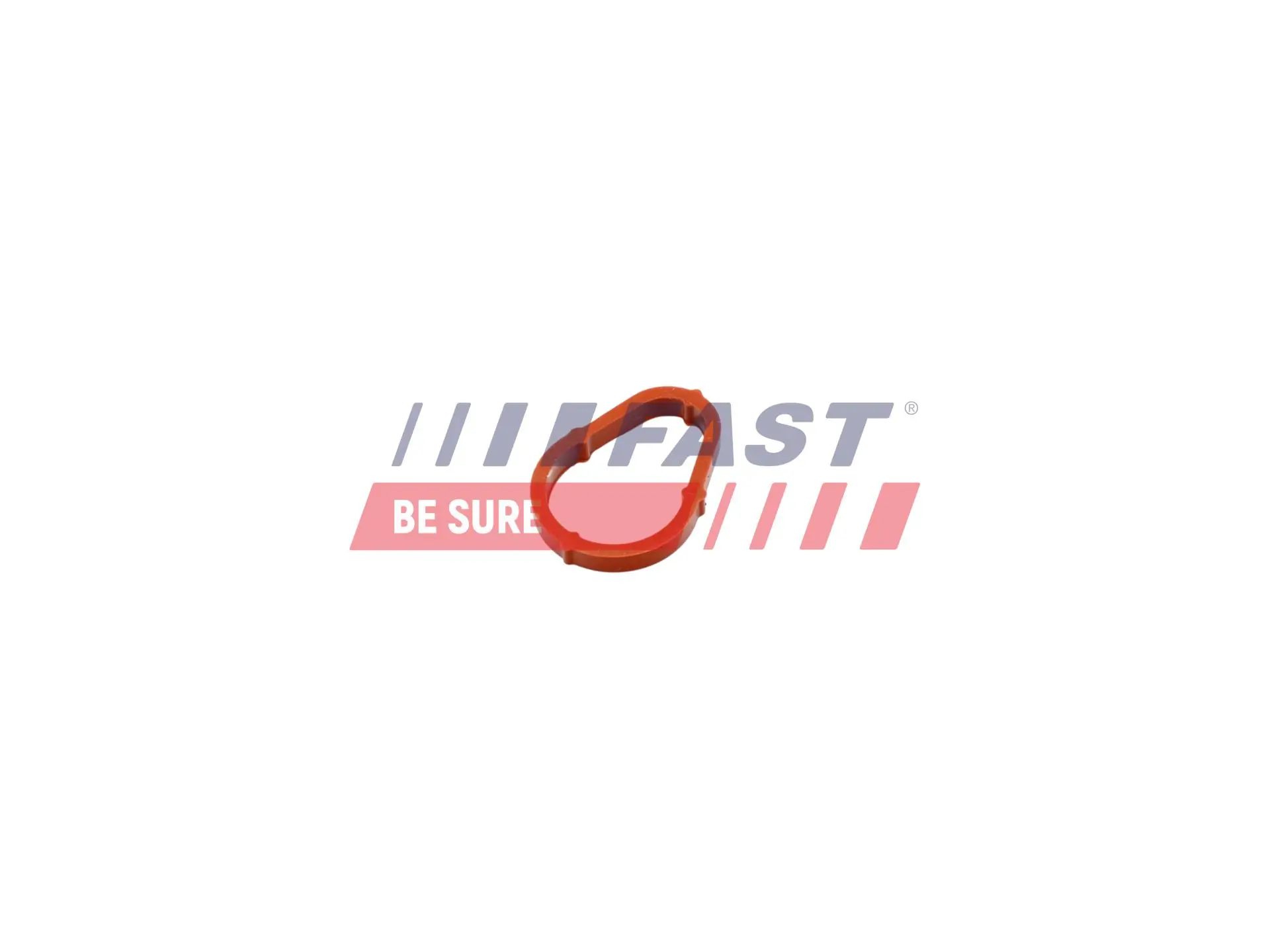 Gasket, vacuum pump