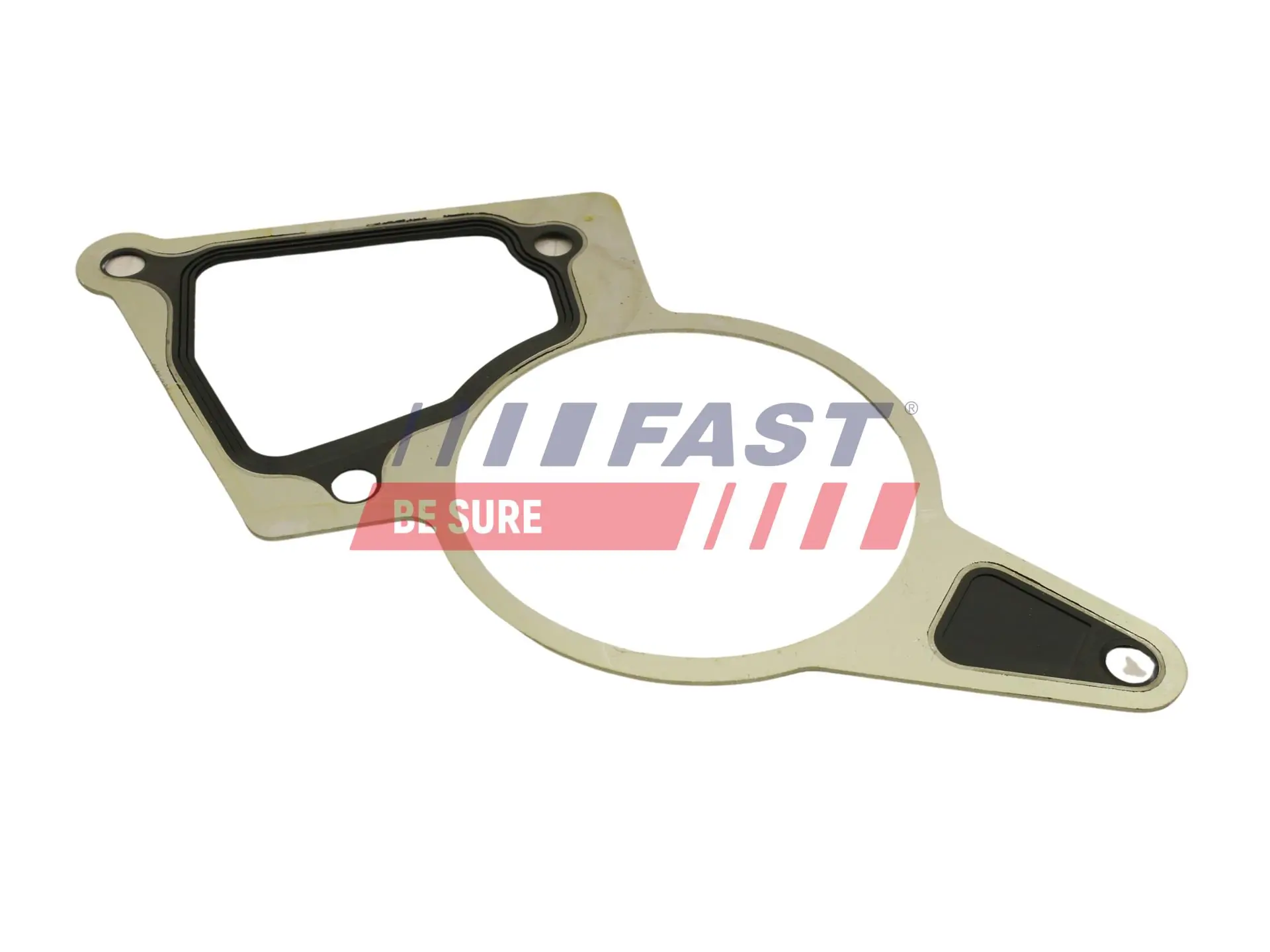 Gasket, vacuum pump