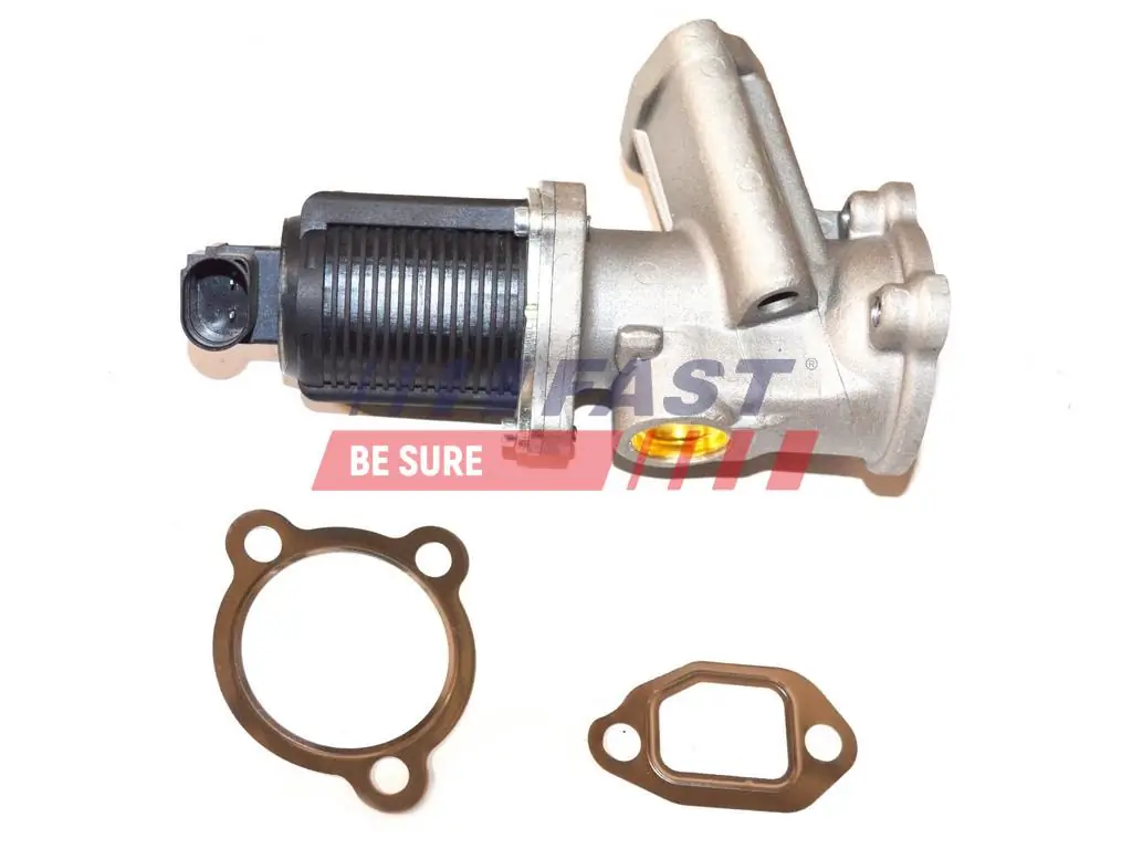 EGR Valve