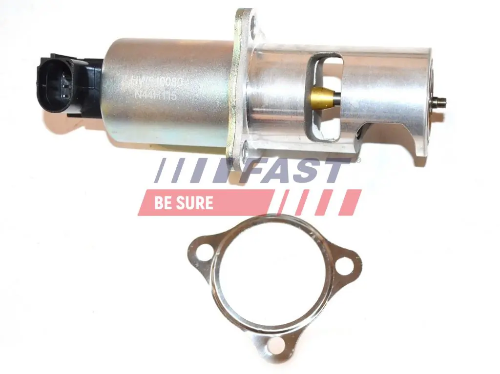 EGR Valve
