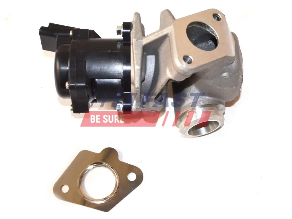 EGR Valve