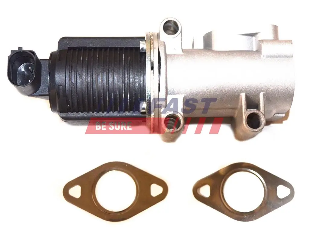 EGR Valve